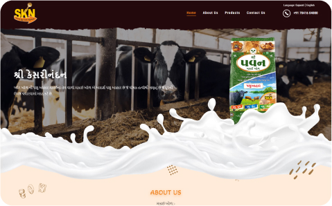 SKN Project Case Study